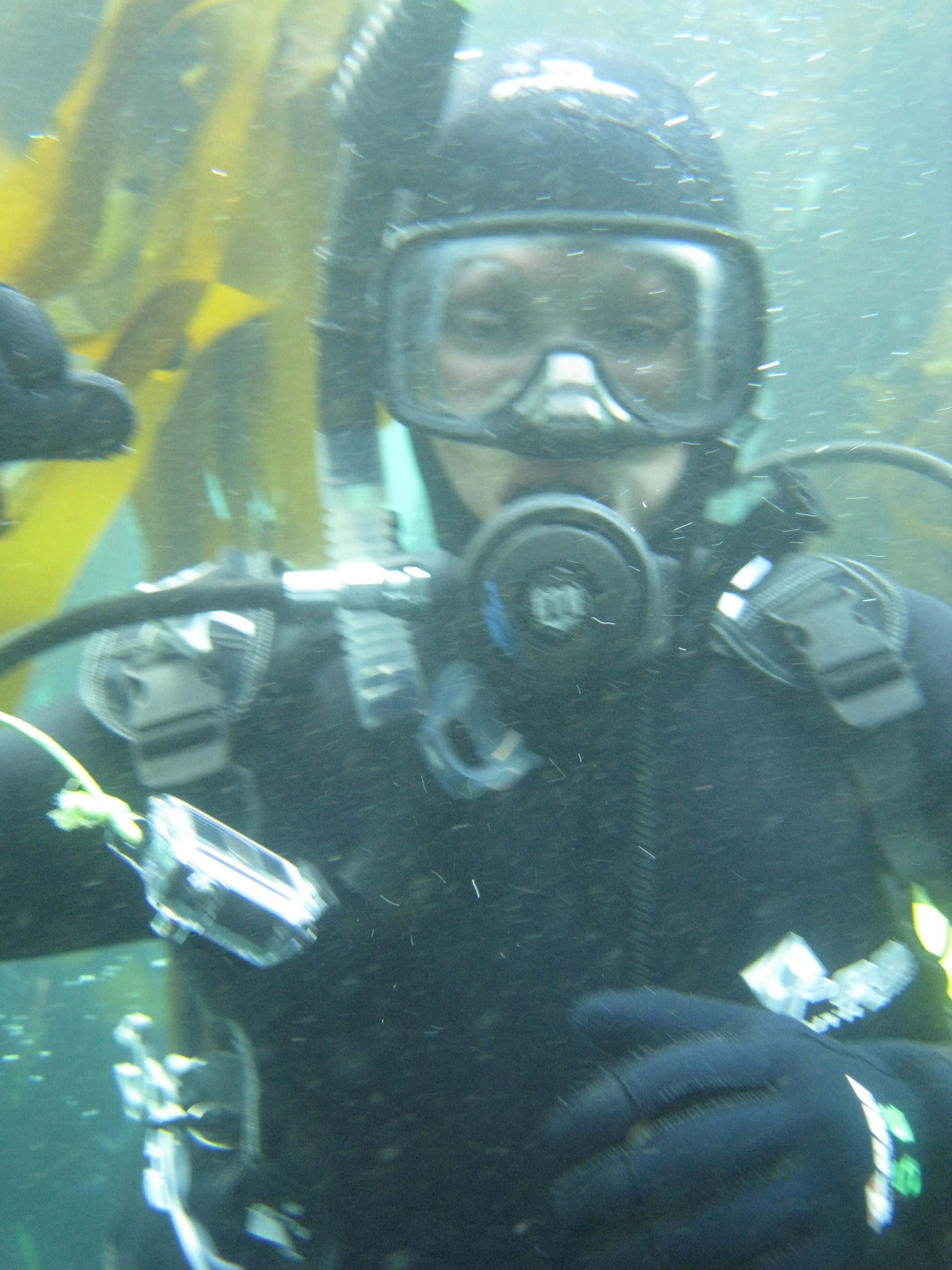 Not me on this dive...Sorry no camera. But me in similar cold water gear. Though my gloves are no were near this impressive.