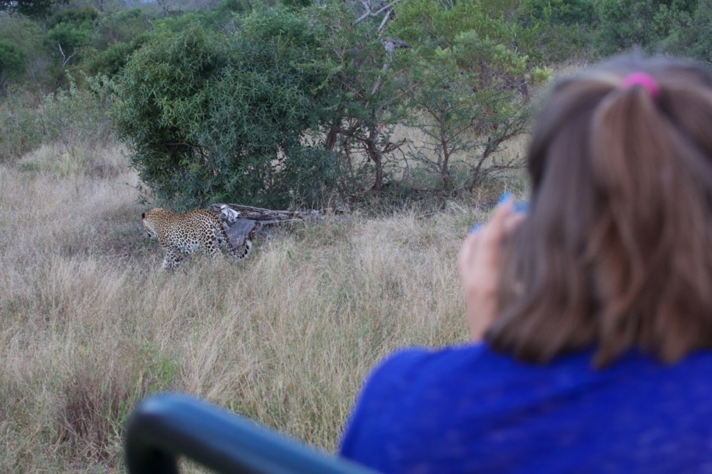 Catching wildlife on safari in South Africa