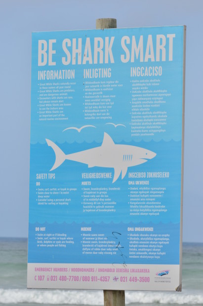 Be Shark Smart Signage