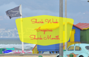 Shark Week Inspires Shark Month